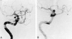 <sc>fig</sc> 1.