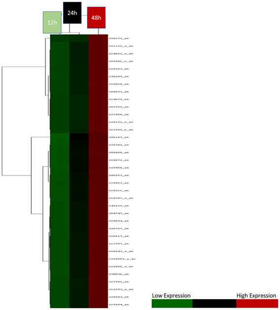 Figure 3.