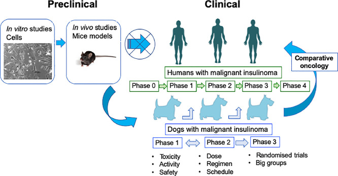 Image, graphical abstract