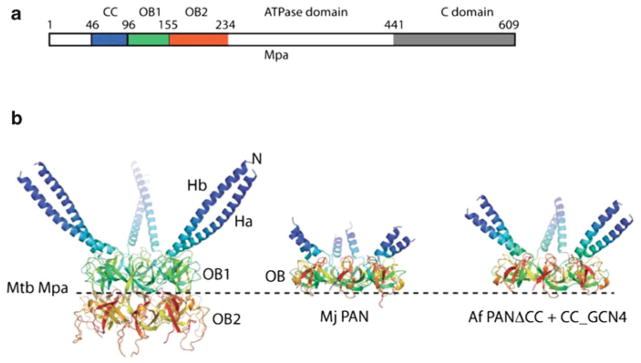 Fig. 10.3