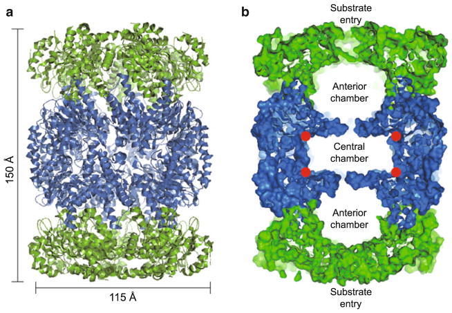 Fig. 10.1