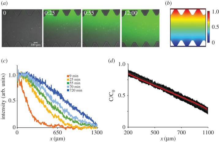 Figure 4.