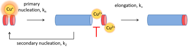 Figure 8