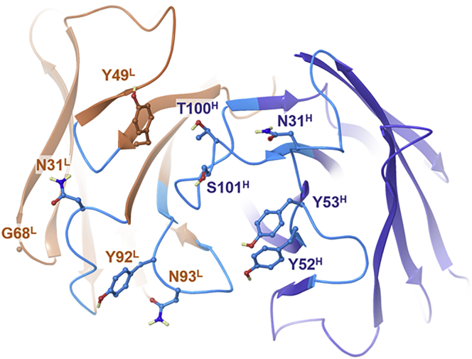 Figure 3