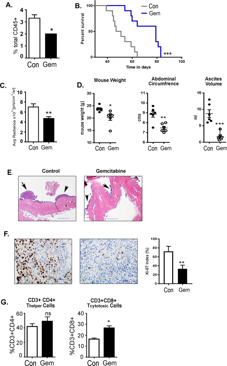 Supplementary figure 1