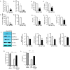 Figure 7