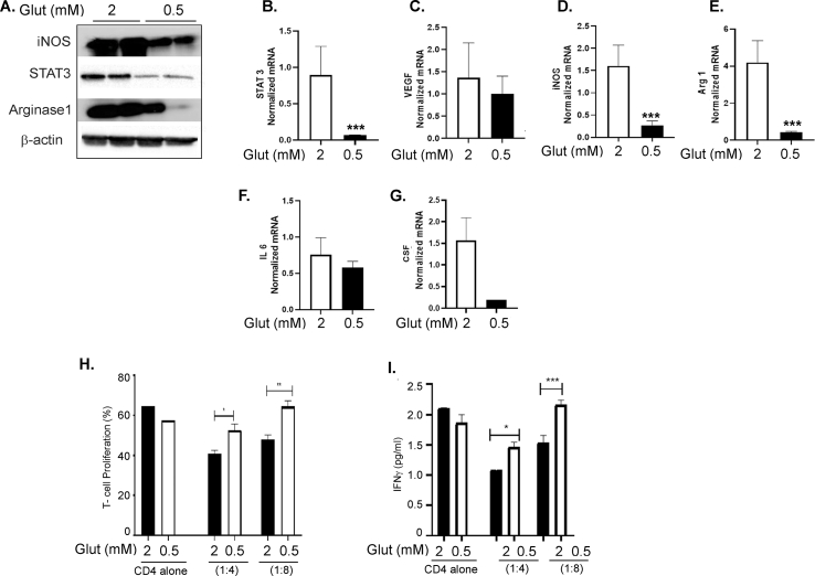 Supplementary Figure 6