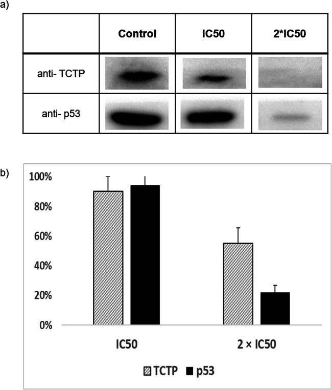 Fig. 10