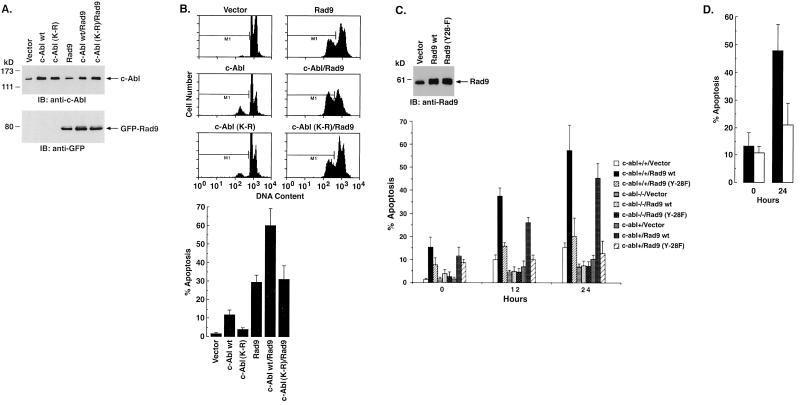 FIG. 7.