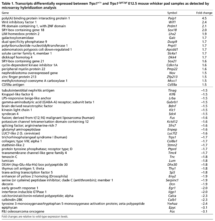 graphic file with name table006.jpg