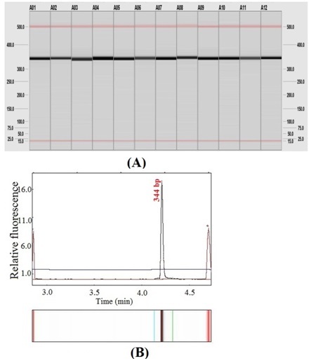 [Table/Fig-2]: