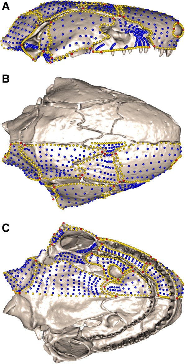 Fig. 7