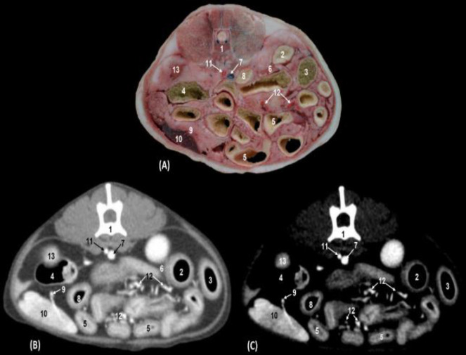 Fig. 5