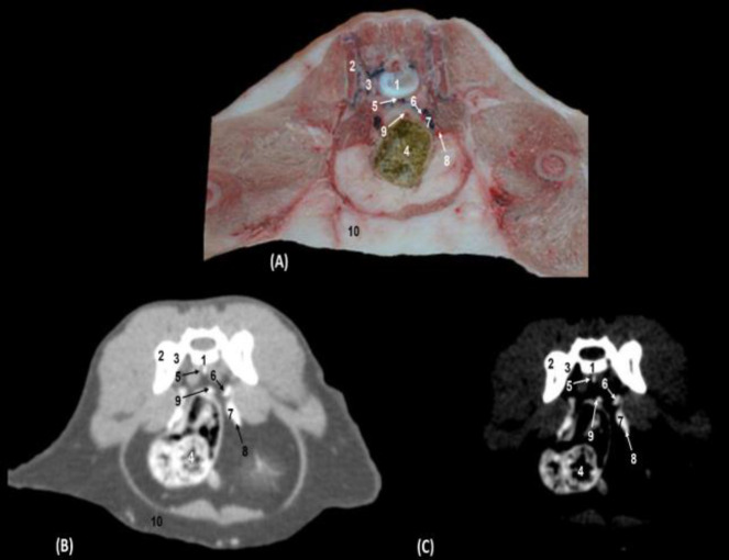 Fig. 6