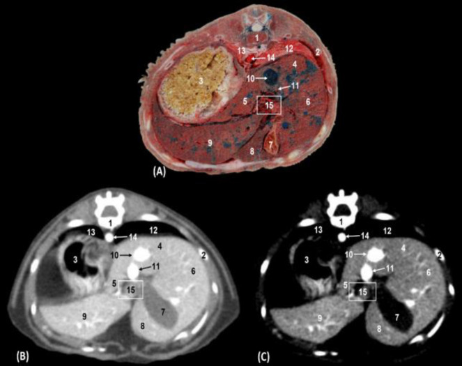 Fig. 2