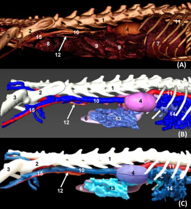 Fig. 8