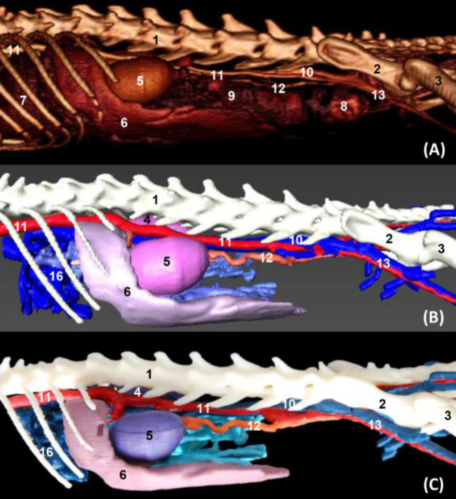 Fig. 7