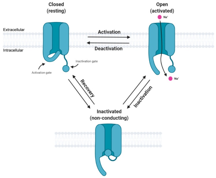 Figure 2