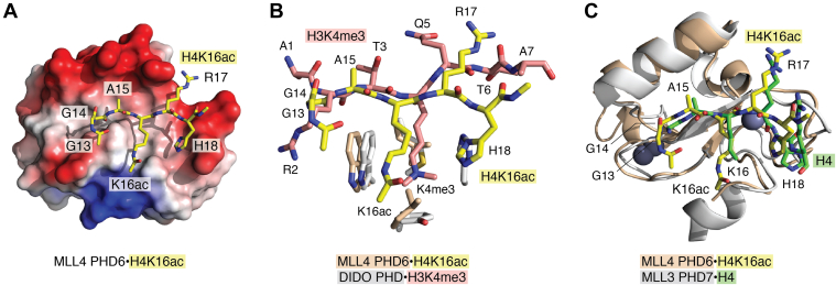 Figure 2