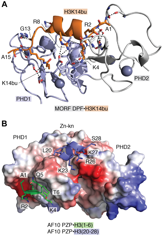 Figure 4