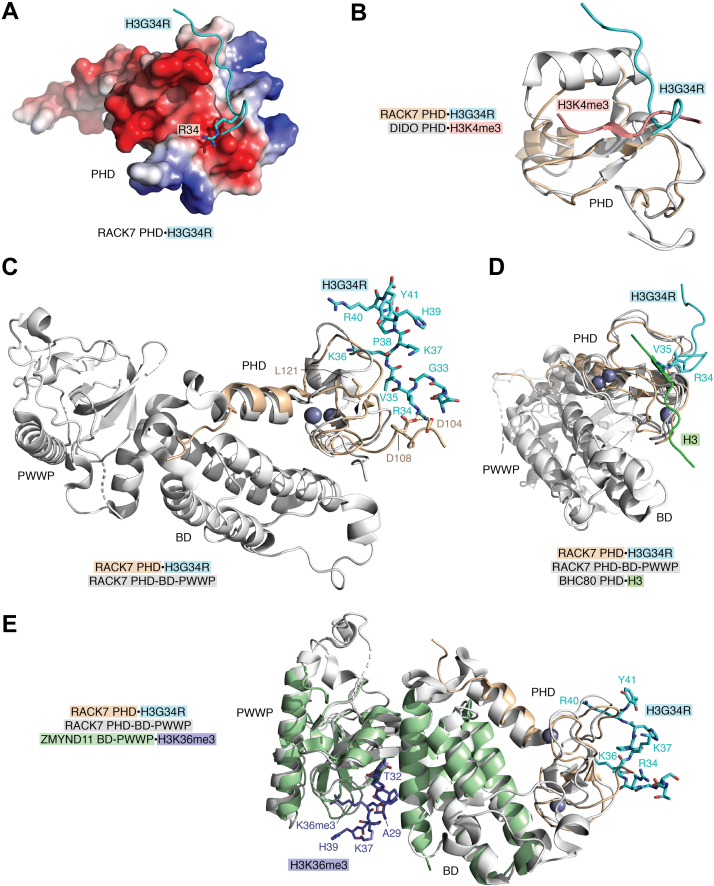 Figure 3