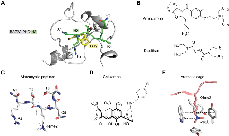 Figure 5