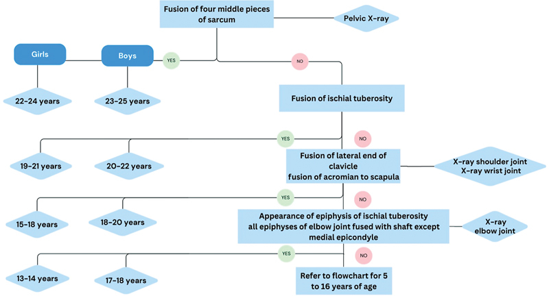 Fig. 12