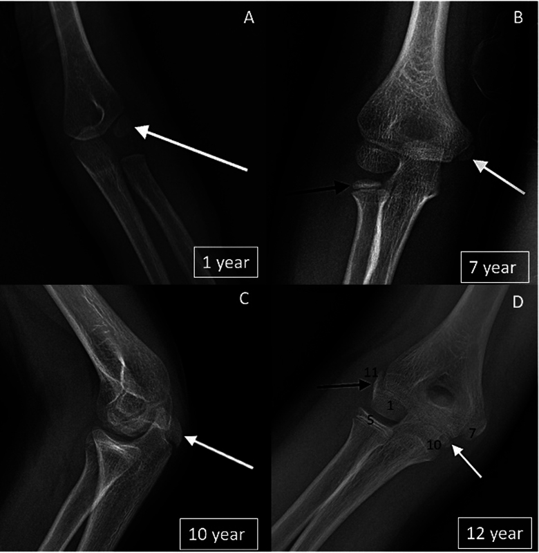 Fig. 7