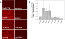 FIG 1