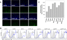 FIG 4