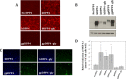 FIG 6