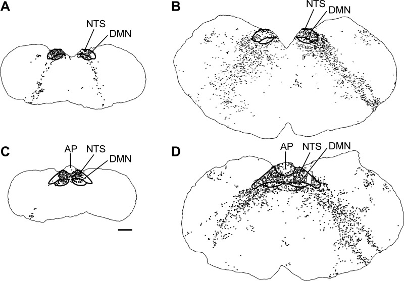 Fig. 8.