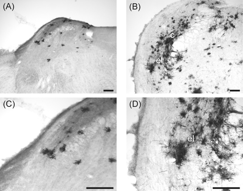 Fig. 10.