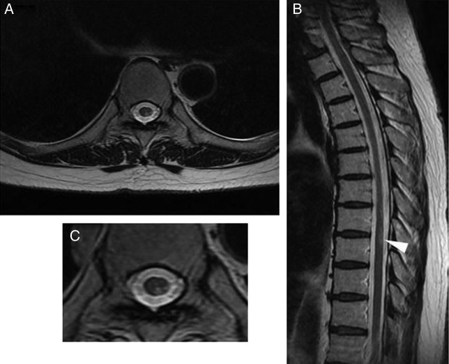 Figure 1