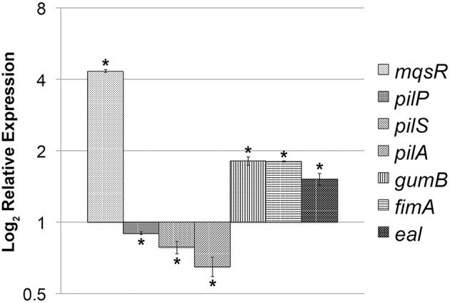 Figure 5