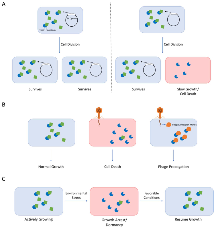 Figure 3 –