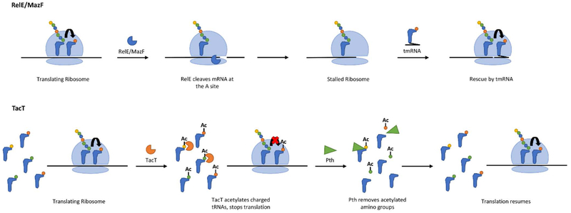 Figure 6 –