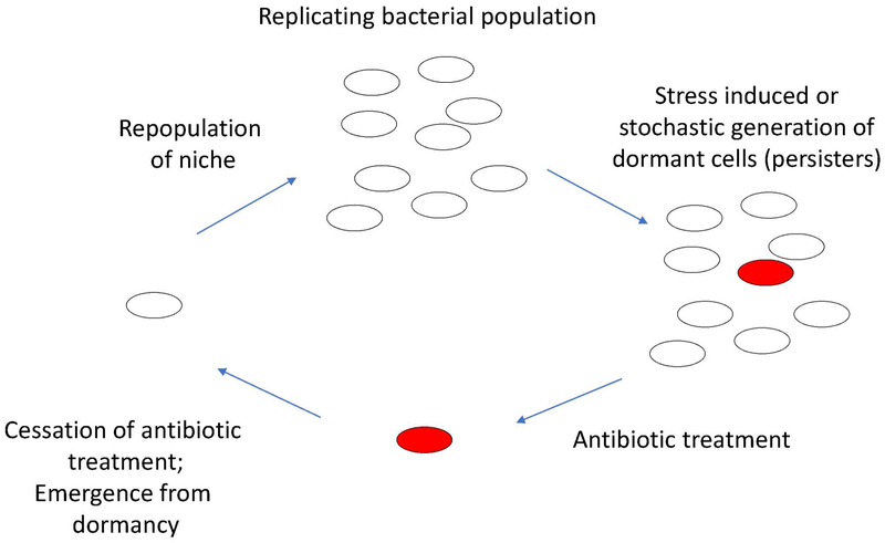 Figure 4 –