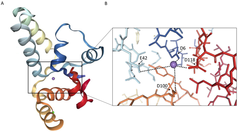 Figure 5 –