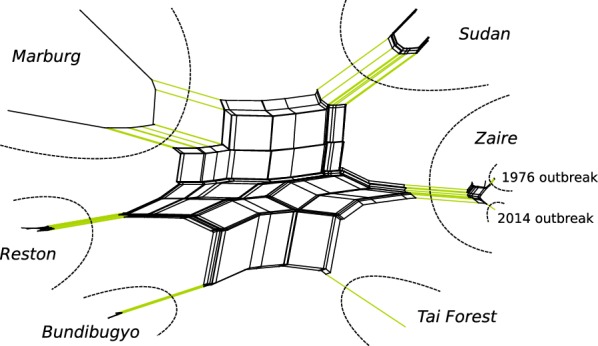 Fig. 7