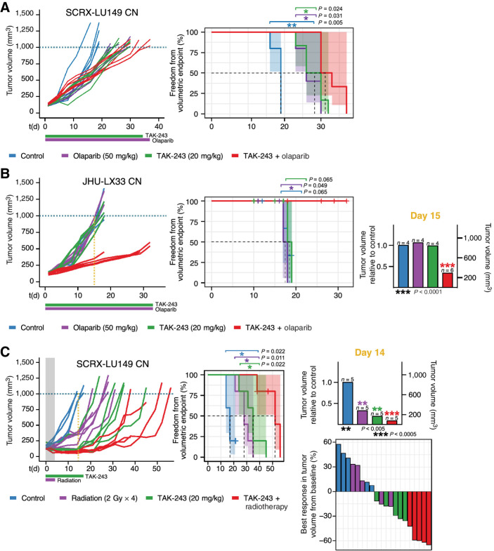 Figure 5. TAK-243 synergizes with genotoxic therapies in TAK-243 monotherapy sensitive and resistant SCLC PDX models. Individual PDX tumor growth curves (left) and Kaplan–Meier survival plots (middle) of SCRX-LU149 CN (A and C) and JHU-LX33 CN (B). PDX models after treatment with either vehicle control, olaparib (50 mg/kg, 5 times/week until termination, oral), TAK-243 (20 mg/kg, biweekly × 5 weeks, intravenous), and TAK-243–olaparib (TAK-243 20 mg/kg, olaparib 50 mg/kg; A and B) or vehicle control, TAK-243 (20 mg/kg, biweekly × 3 weeks, intravenous), radiation (2G x 4), and TAK-243 + radiotherapy combination (TAK-243 20 mg/kg, radiotherapy 2G x 4, C). Dosing schedule is indicated below x-axis of growth-response curves: the horizontal green and purple lines represent period of TAK-243 and olaparib or radiation dosing, respectively. Freedom from volumetric endpoint (1,000 mm3, indicated by the dotted line in each growth curve) was determined by Kaplan–Meier survival analysis. For the Kaplan–Meier curves shaded areas represent the 95% CIs around each curve, and the dotted line, the median freedom from volumetric endpoint. The log-rank test was used to evaluate statistical significance, with adjusted P values to account for multiple tests. B, TAK-243 synergizes most with olaparib in the TAK-243, olaparib monotherapy resistant JHU-LX33 CN SCLC PDX model. Middle, Kaplan–Meier curve analysis for the control, TAK-243, and olaparib single agent groups was calculated by creating variance between groups artificially (+ or −1 day per each event) to enable visualization of each curve. Right, Average tumor volume of olaparib, TAK-243-, and combination-treated mice relative to control on day 15 of treatment. TAK-243 + olaparib–treated mice had significantly smaller tumors 15 days following treatment compared with all other groups (unpaired t test, P < 0.0001). C (right, top, TAK-243 + radiotherapy–treated mice had significantly smaller tumors 14 days following treatment compared with all other groups (unpaired t test, P < 0.0005). Waterfall plot (right, bottom) depicting the best response of individual mice treated with control, TAK-243, radiotherapy, or TAK-243 + radiotherapy. Best response was considered as the smallest tumor volume (compared with baseline) over the course of the study. The gray shaded area and the purple horizontal line of radiation indicates duration of time in which combination therapy overlapped. RT, radiotherapy; PDX, patient derived xenograft.