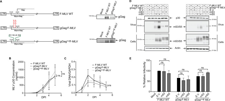 FIG 3