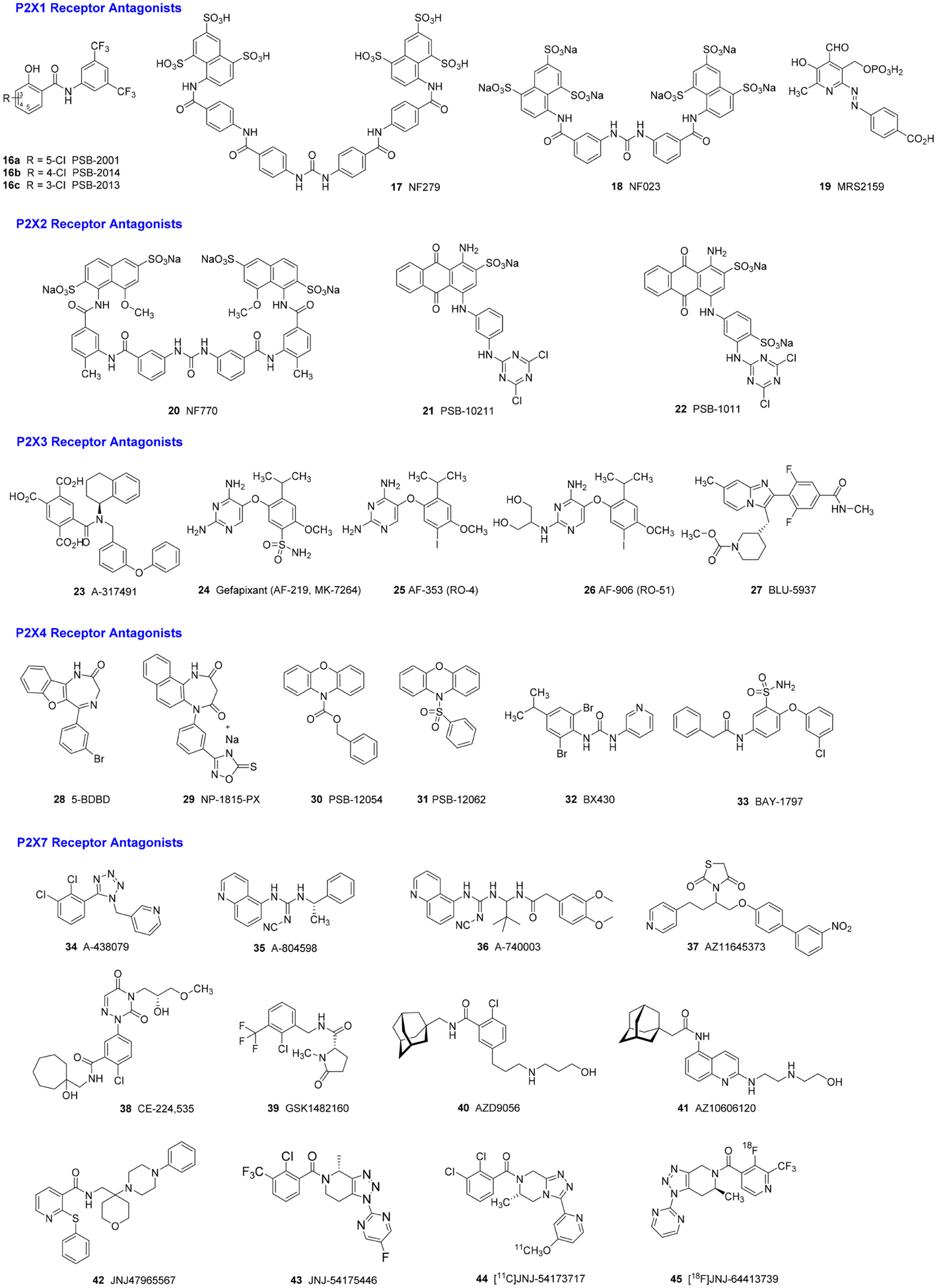 FIGURE 2