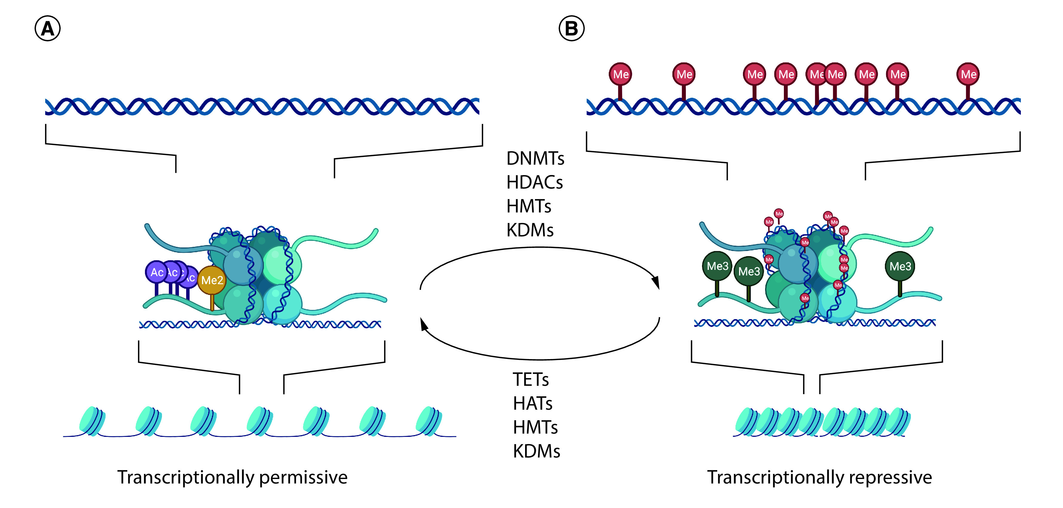 Figure 1. 