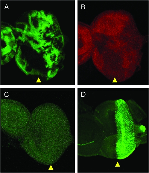 Figure 2.—