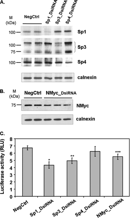 FIGURE 10.