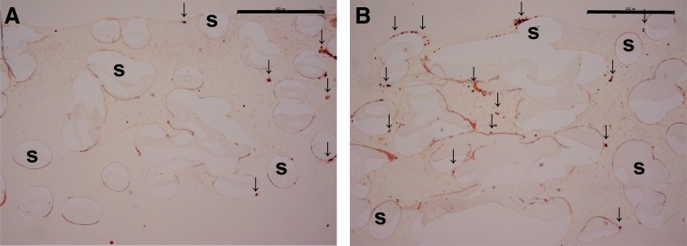 FIG. 7.