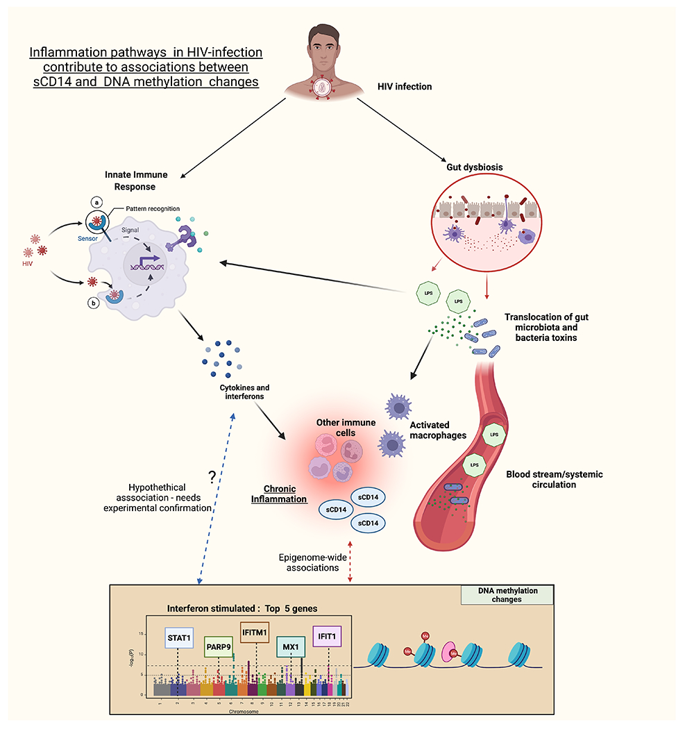 Figure 3: