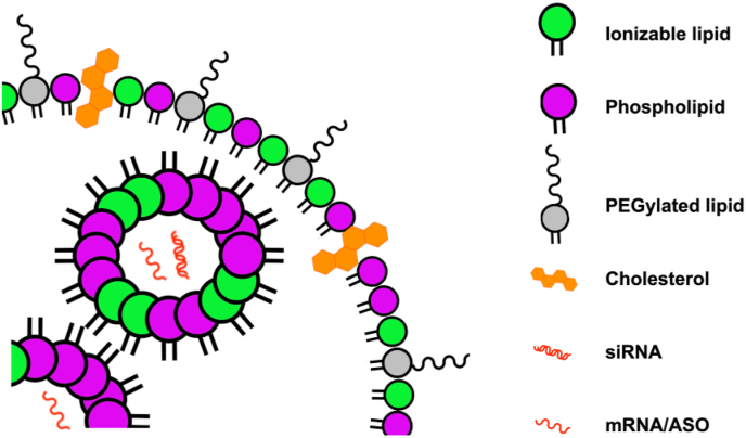 Figure 4