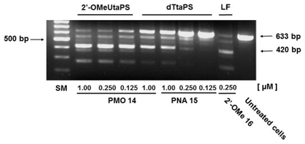 Figure 4.xx.8